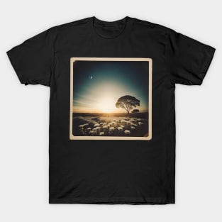 Photography of sunrise T-Shirt